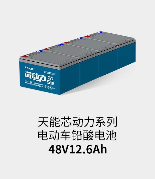 拉斯维加斯9888电池48v12ah