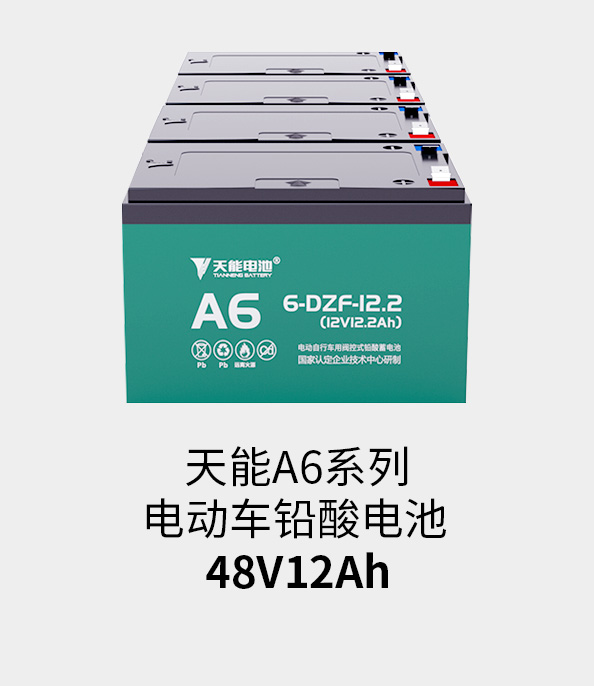 拉斯维加斯9888电池48v12ah