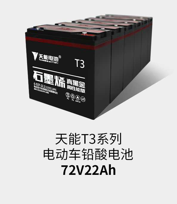 拉斯维加斯9888T3系列72v22ah