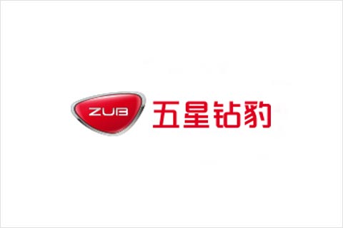 拉斯维加斯9888电池合作伙伴 五星钻豹电动车